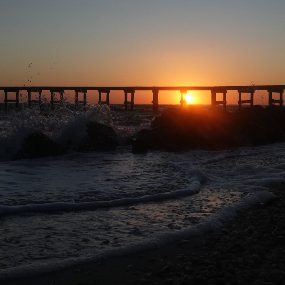 Meet your Posher, Carolena